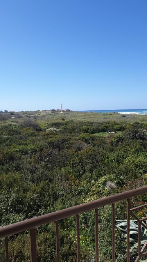 Ancient Paphos - Cozy Place Next To The Sea, Marina, Historical Sites, Buses, Mall, And Market Extérieur photo