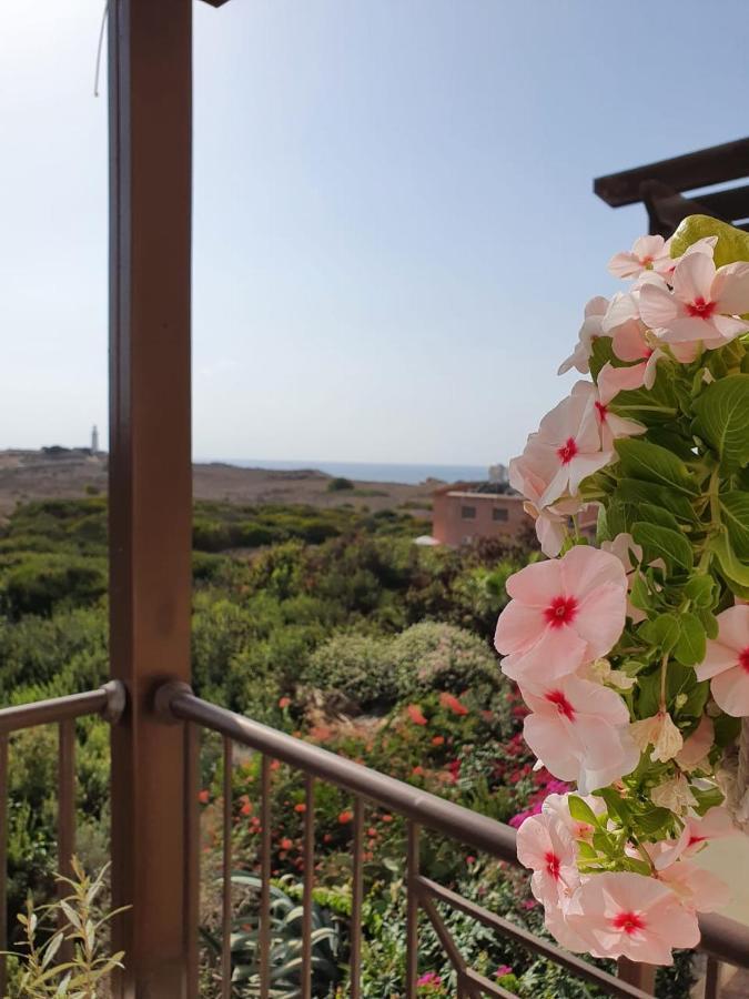 Ancient Paphos - Cozy Place Next To The Sea, Marina, Historical Sites, Buses, Mall, And Market Extérieur photo