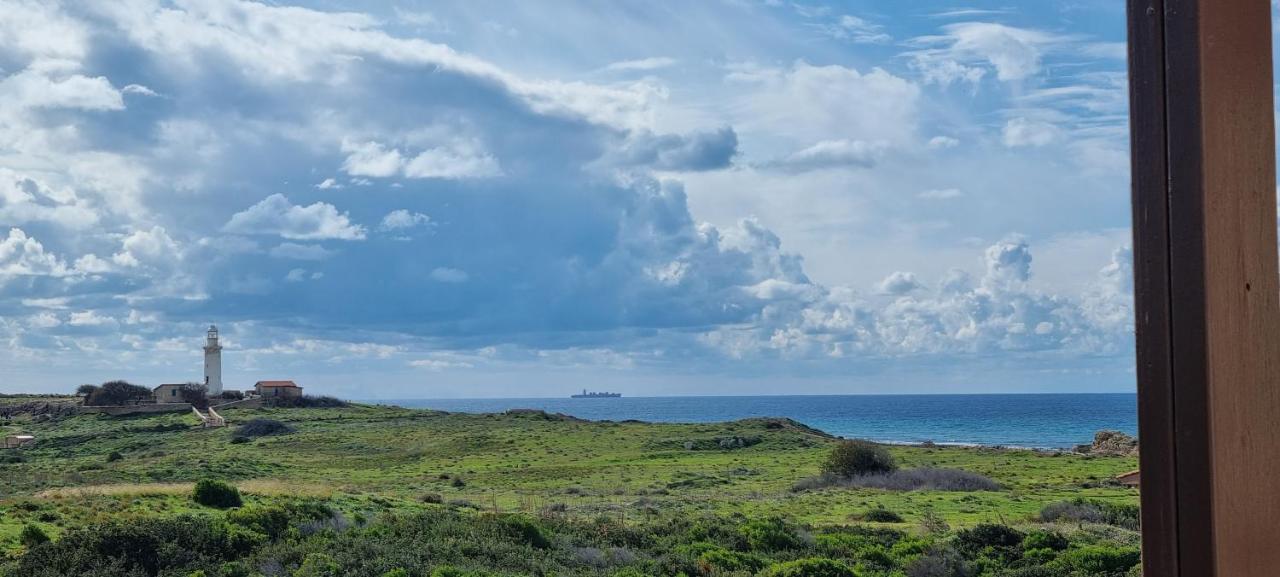 Ancient Paphos - Cozy Place Next To The Sea, Marina, Historical Sites, Buses, Mall, And Market Extérieur photo
